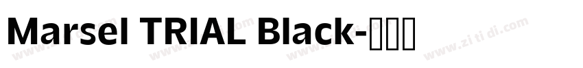 Marsel TRIAL Black字体转换
